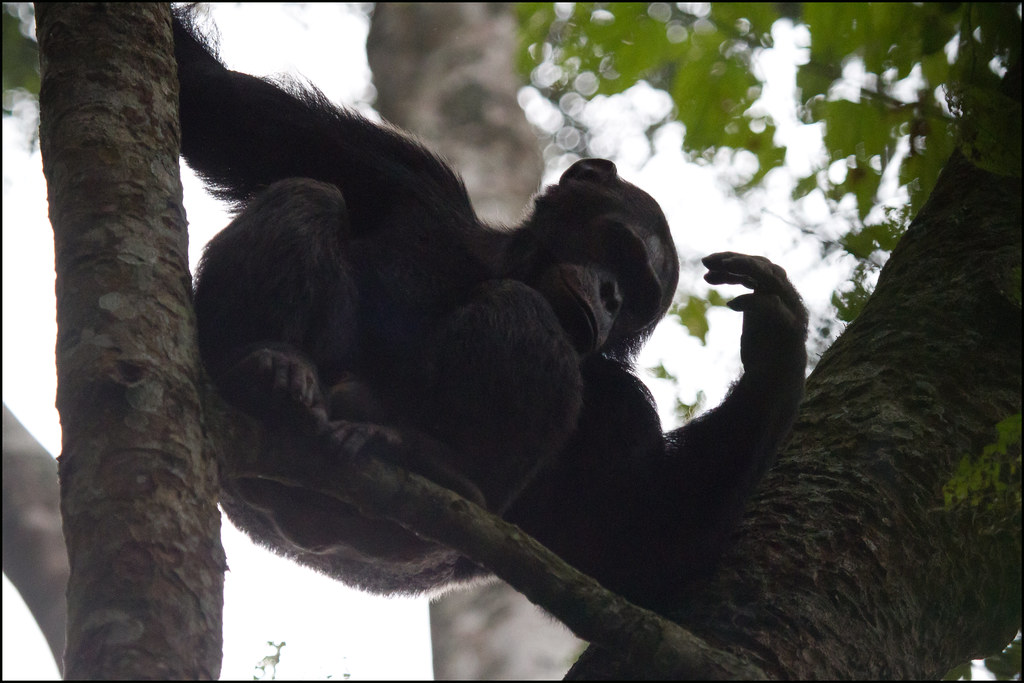 Volcanoes National Park